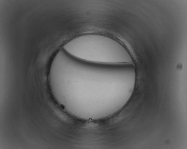 X0000096690257200802051044