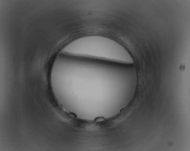 X0000096690258200802051044