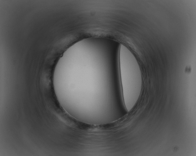 X0000096690259200802051044