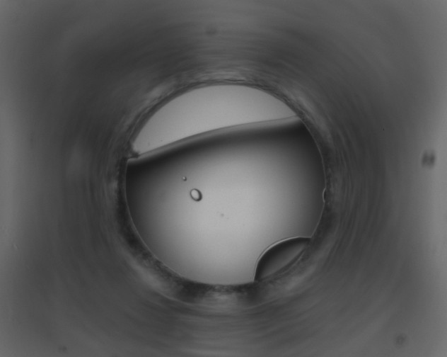 X0000096690260200802051044