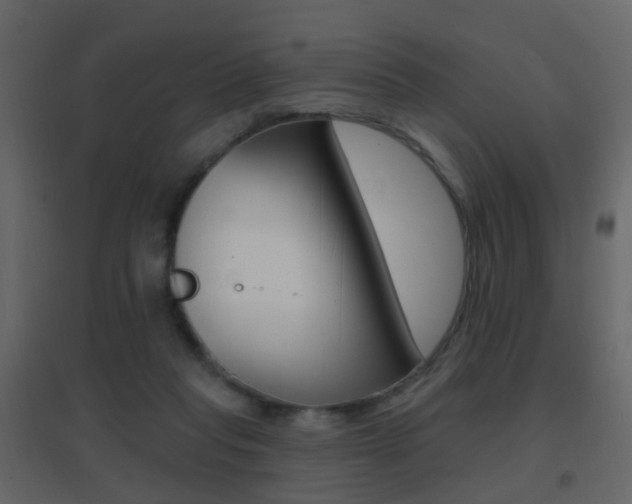 X0000096690261200802051044