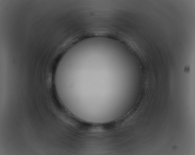 X0000096690262200802051044