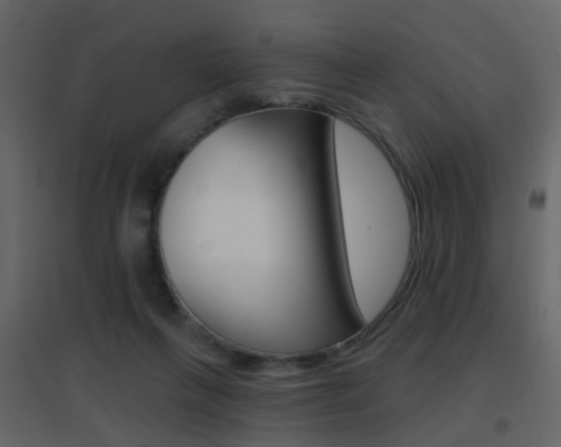 X0000096690263200802051044