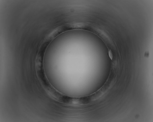 X0000096690264200802051044