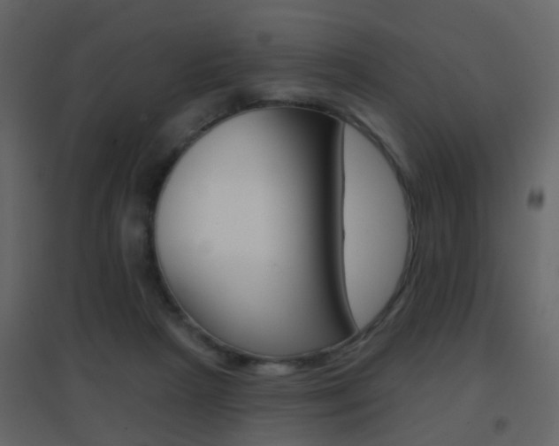 X0000096690265200802051044