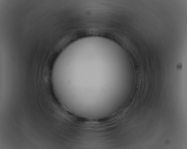 X0000096690266200802051044