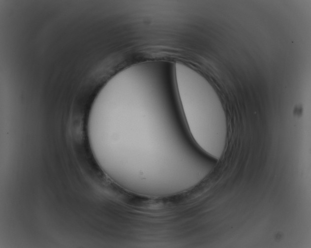 X0000096690267200802051044
