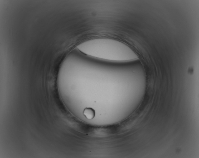 X0000096690268200802051044