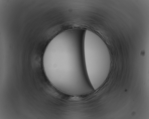 X0000096690269200802051044
