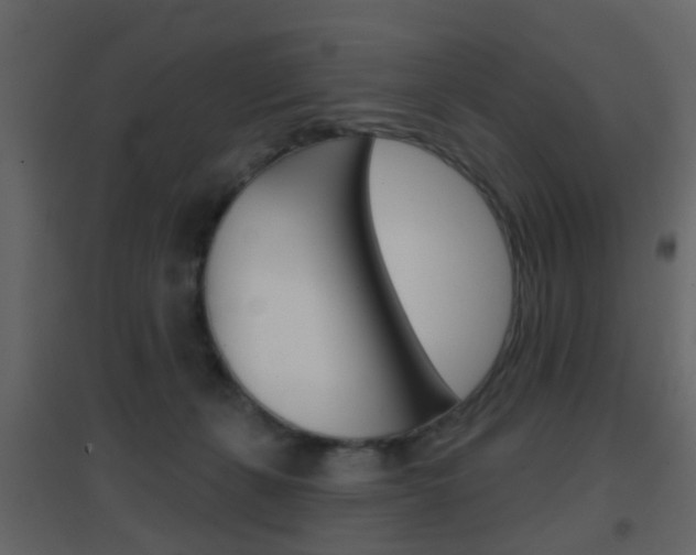 X0000096690271200802051044