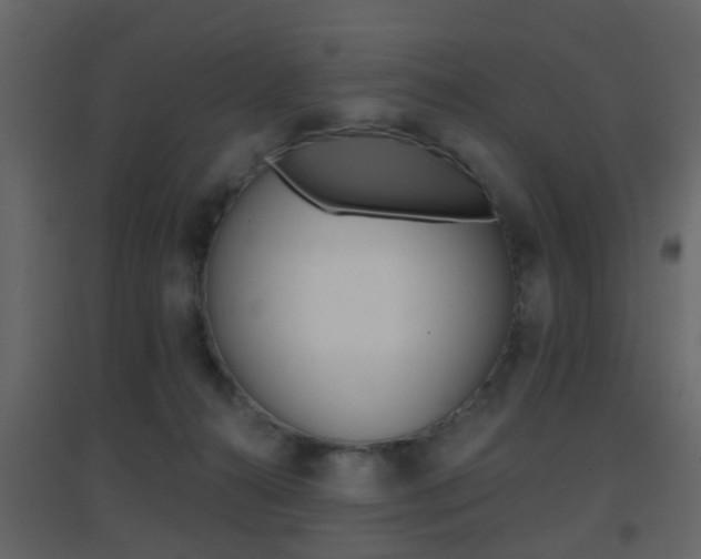 X0000096690272200802051044