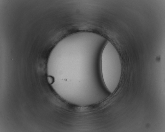 X0000096690273200802051044