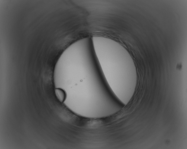 X0000096690274200802051044