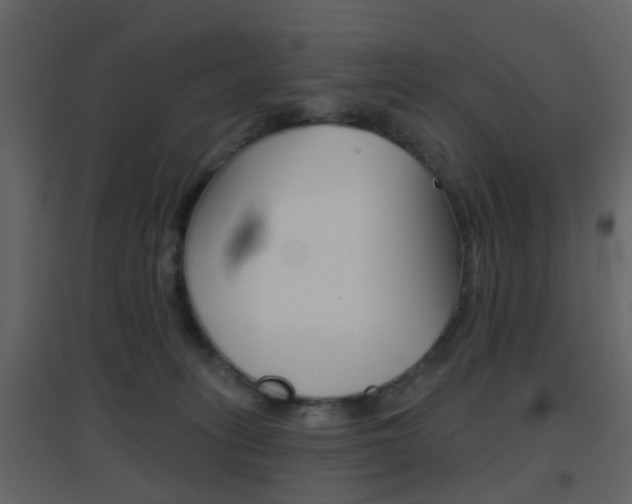 X0000096690275200802051044