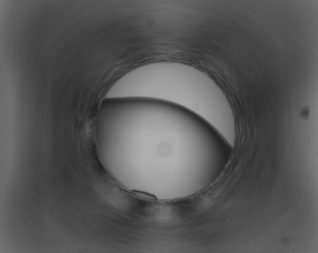 X0000096690276200802051044