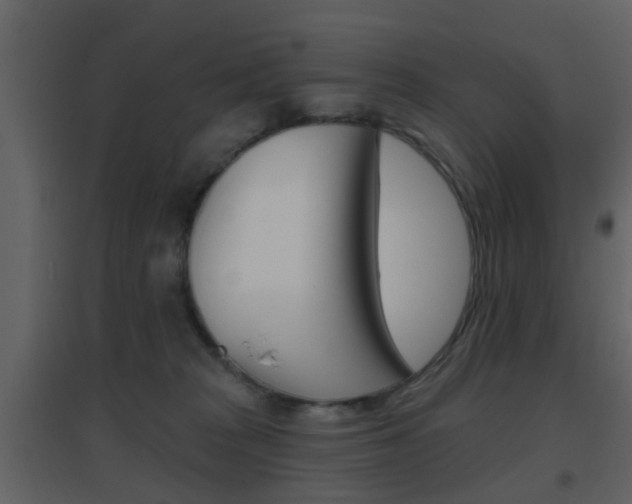 X0000096690277200802051044
