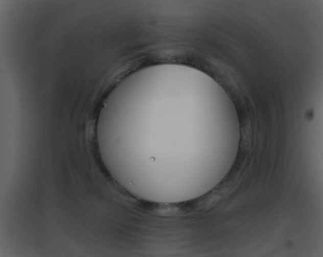 X0000096690278200802051044