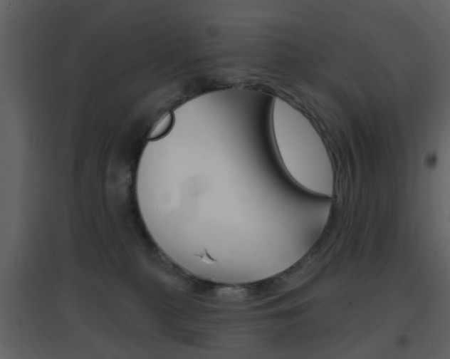 X0000096690279200802051044