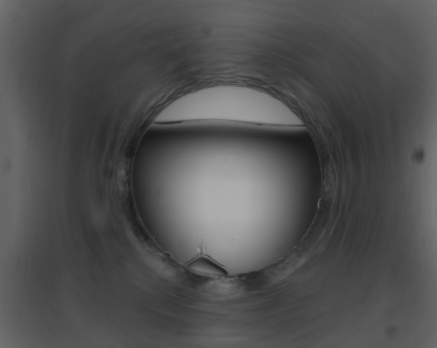 X0000096690280200802051044