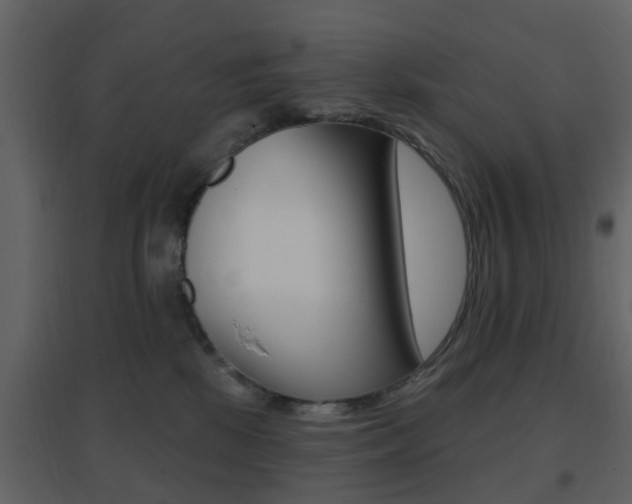 X0000096690281200802051044