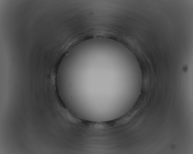 X0000096690282200802051044