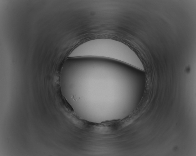 X0000096690284200802051044