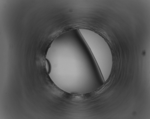 X0000096690285200802051044
