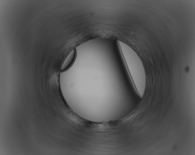 X0000096690286200802051044