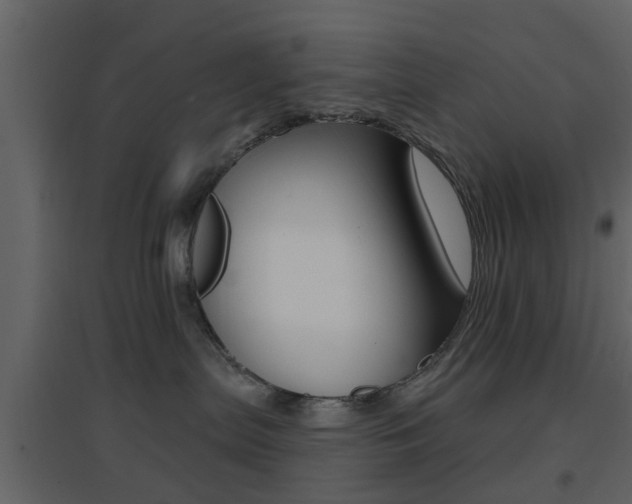 X0000096690287200802051044