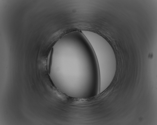 X0000096690288200802051045