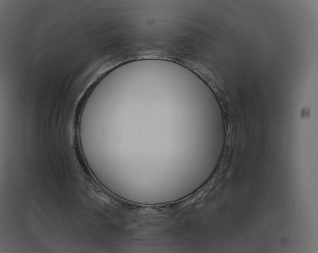 X0000096690290200802051044