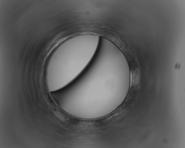 X0000096690291200802051044