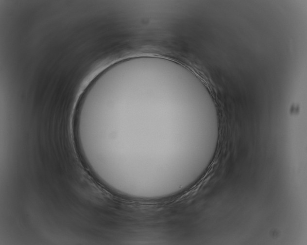 X0000096690292200802051044