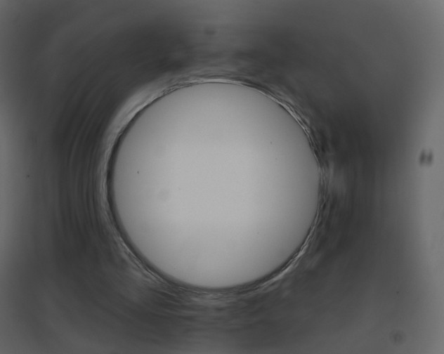 X0000096690293200802051044