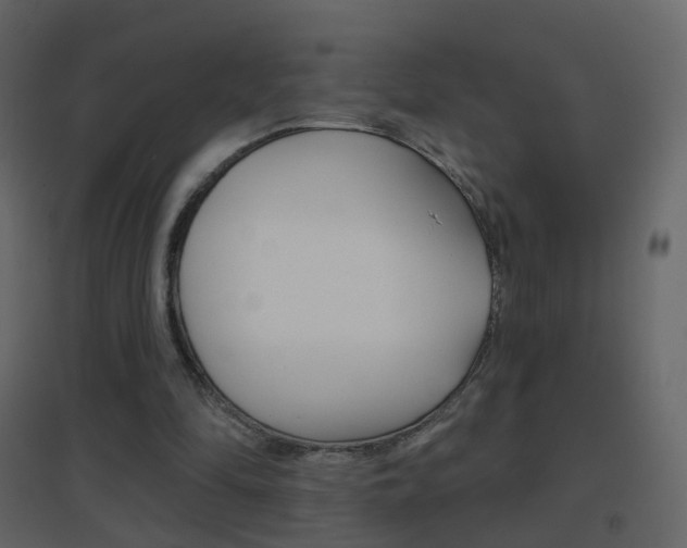 X0000096690294200802051044