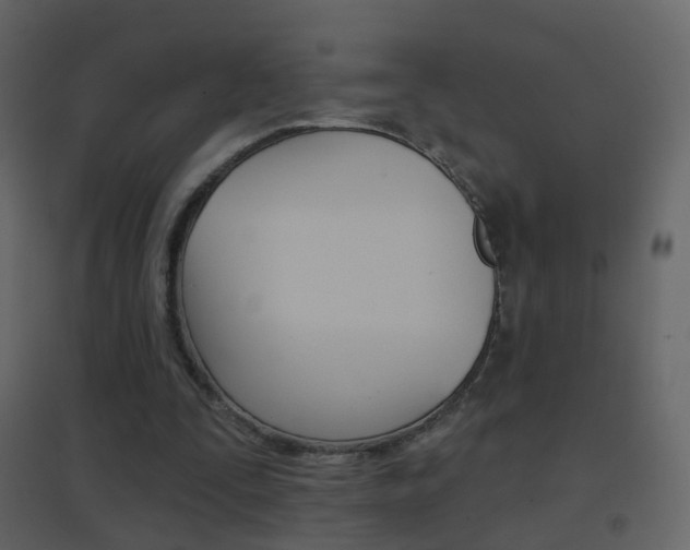 X0000096690295200802051044