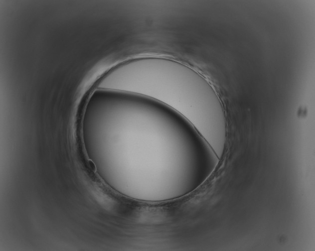 X0000096690296200802051044
