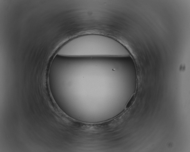 X0000096690297200802051044