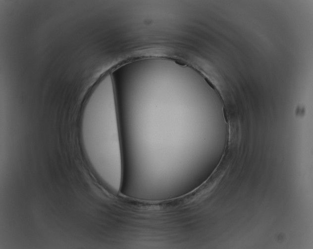 X0000096690301200802051043