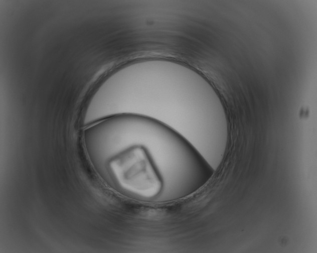 X0000096690304200802051043