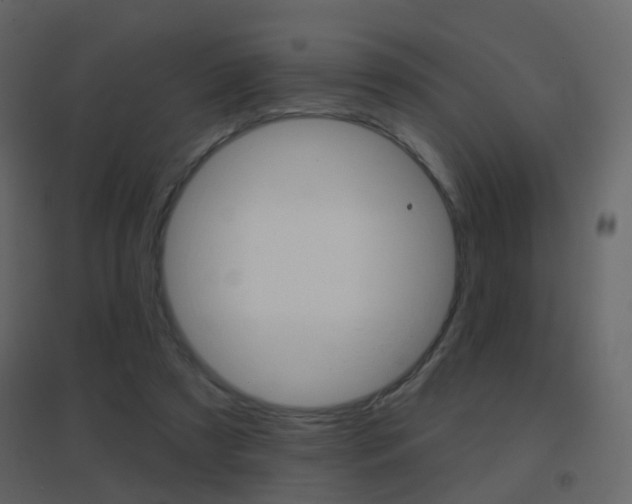 X0000096690305200802051043