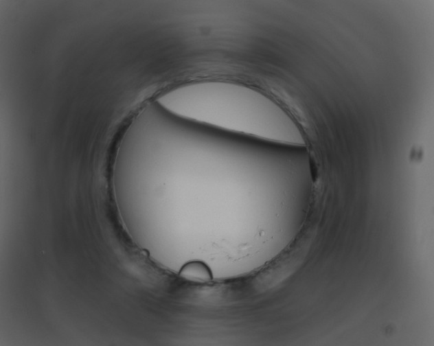 X0000096690306200802051043