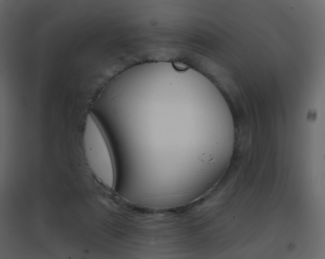 X0000096690307200802051043