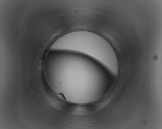 X0000096690308200802051043