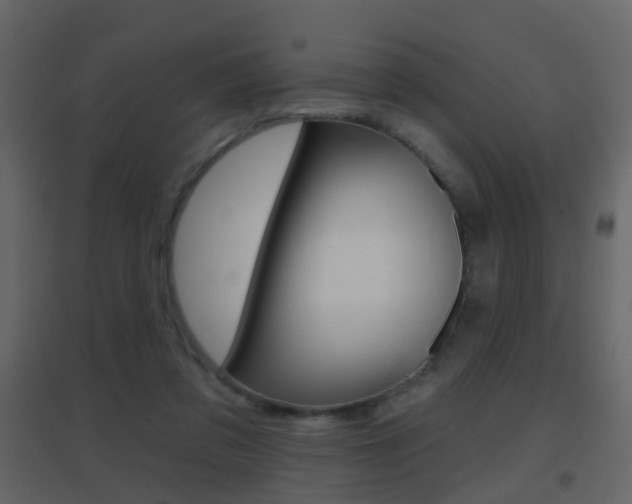 X0000096690309200802051043