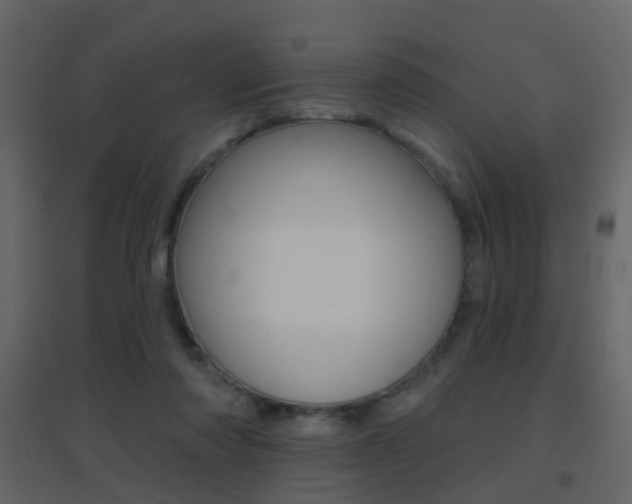 X0000096690310200802051043