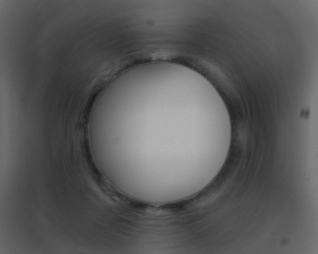 X0000096690311200802051043