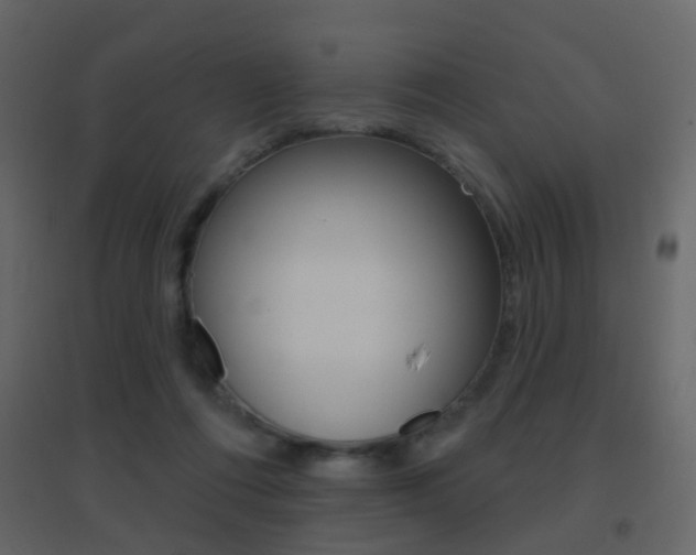 X0000096690312200802051043