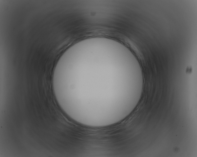 X0000096690313200802051043