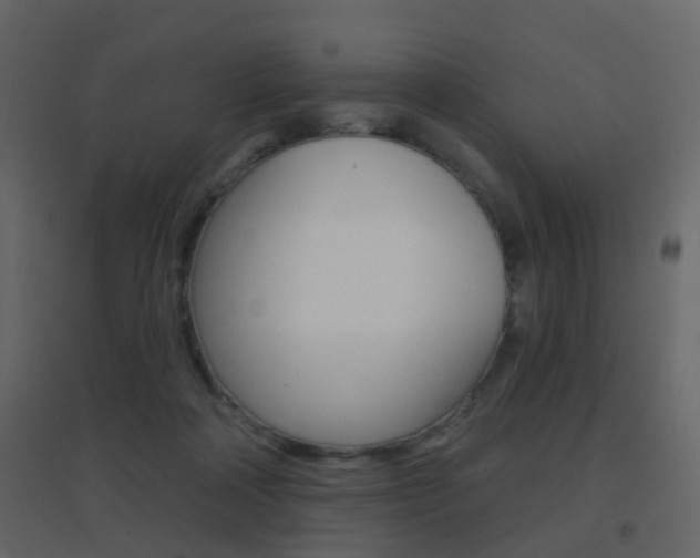 X0000096690314200802051043